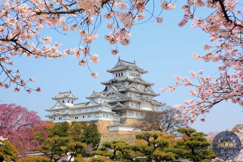 Tranh phong cảnh các trên thế giới: Nhật Bản với hoa anh đào, Pháp với tháp Eiffel, Hàn Quốc